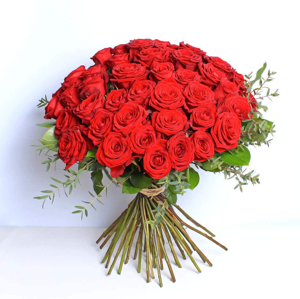 Fifty Stunning Red Roses (50)