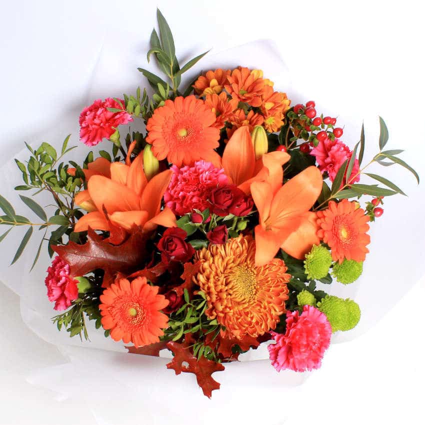 Orange Splendour - Image 2