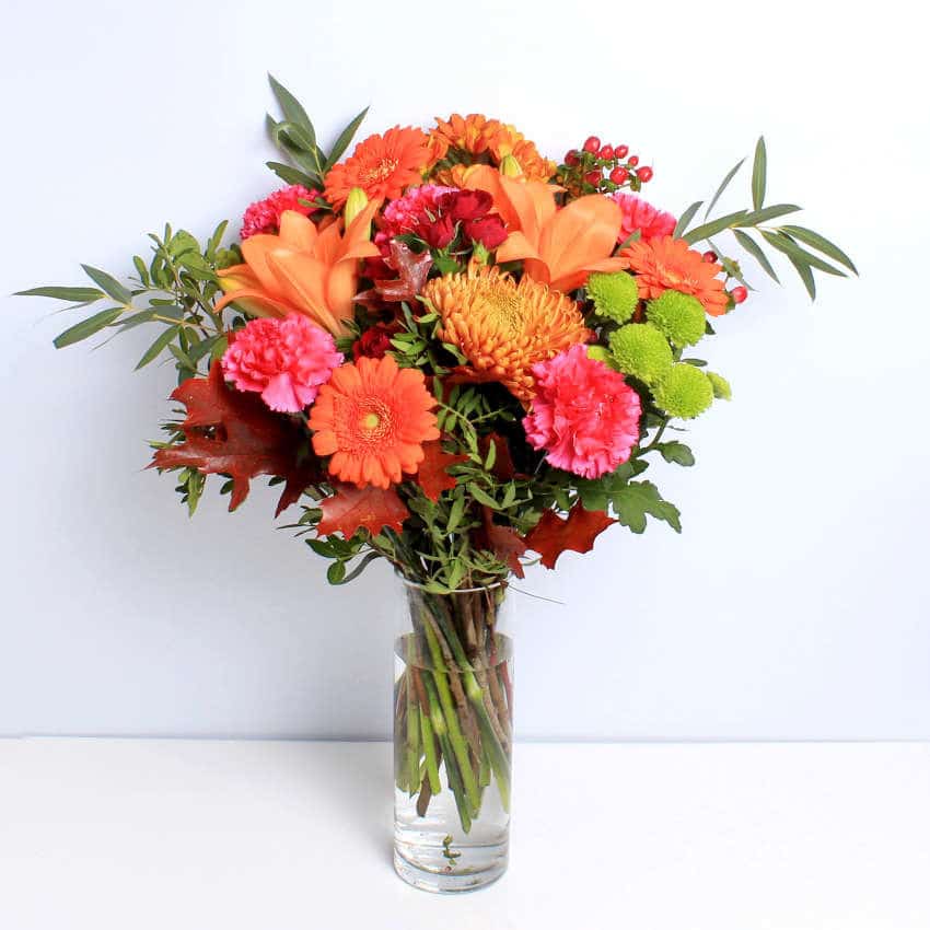 Orange Splendour - Image 4