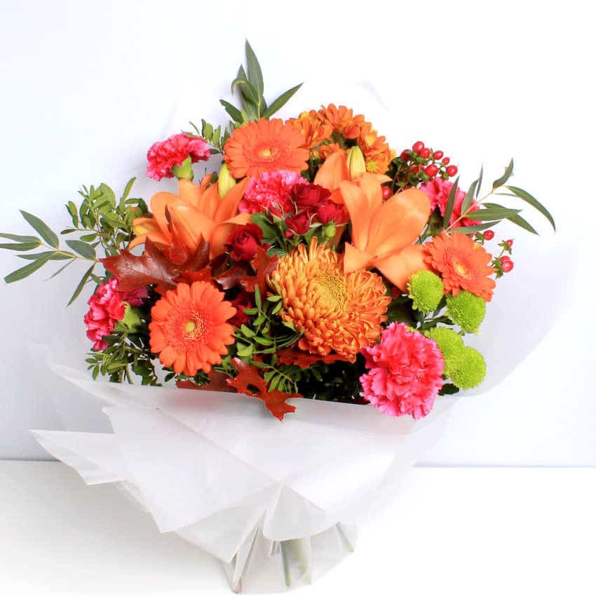 Orange Splendour - Image 3