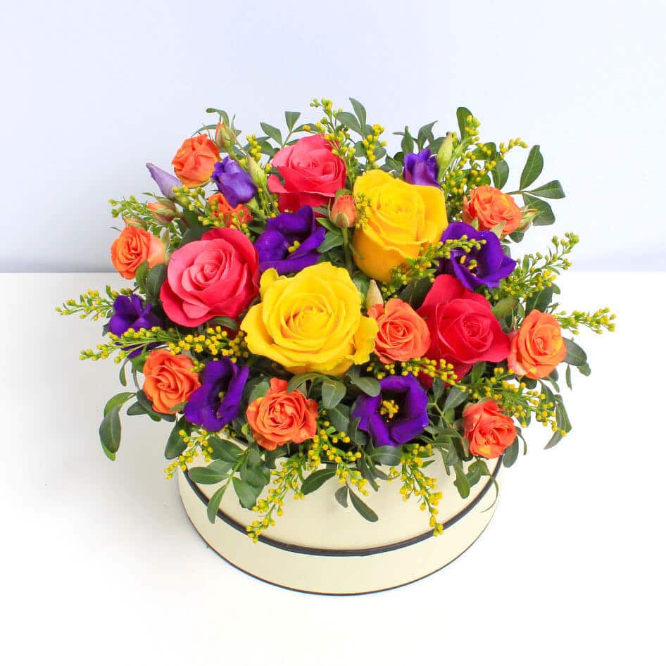 Citrus Squeeze - Image 2