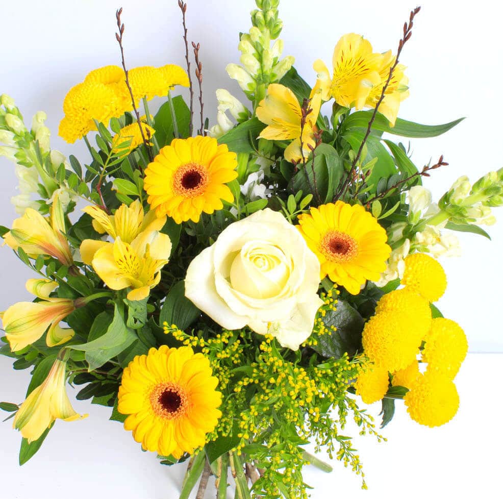 Lemon Sizzle - Image 2