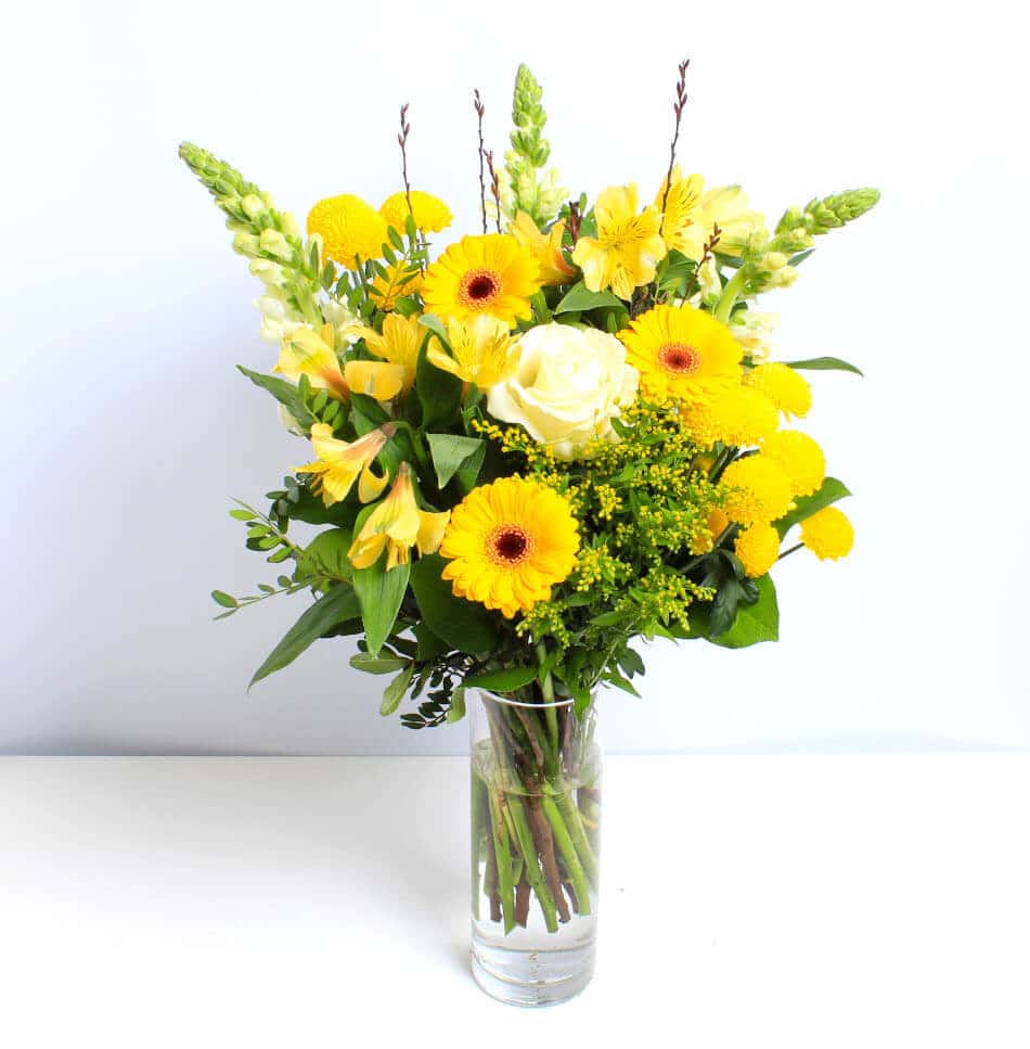 Lemon Sizzle - Image 4