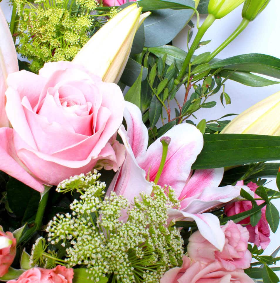 Pink radiance - Image 2