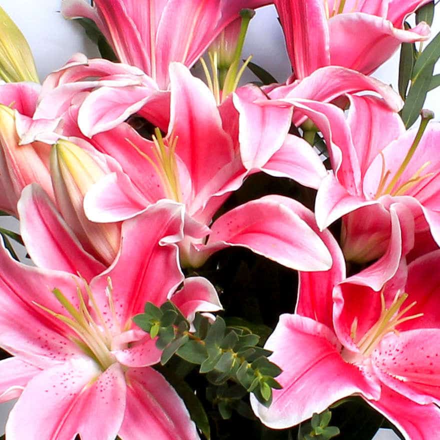 Pink Lily Bouquet - Image 2