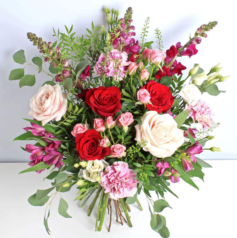 Raspberry Red - Image 2