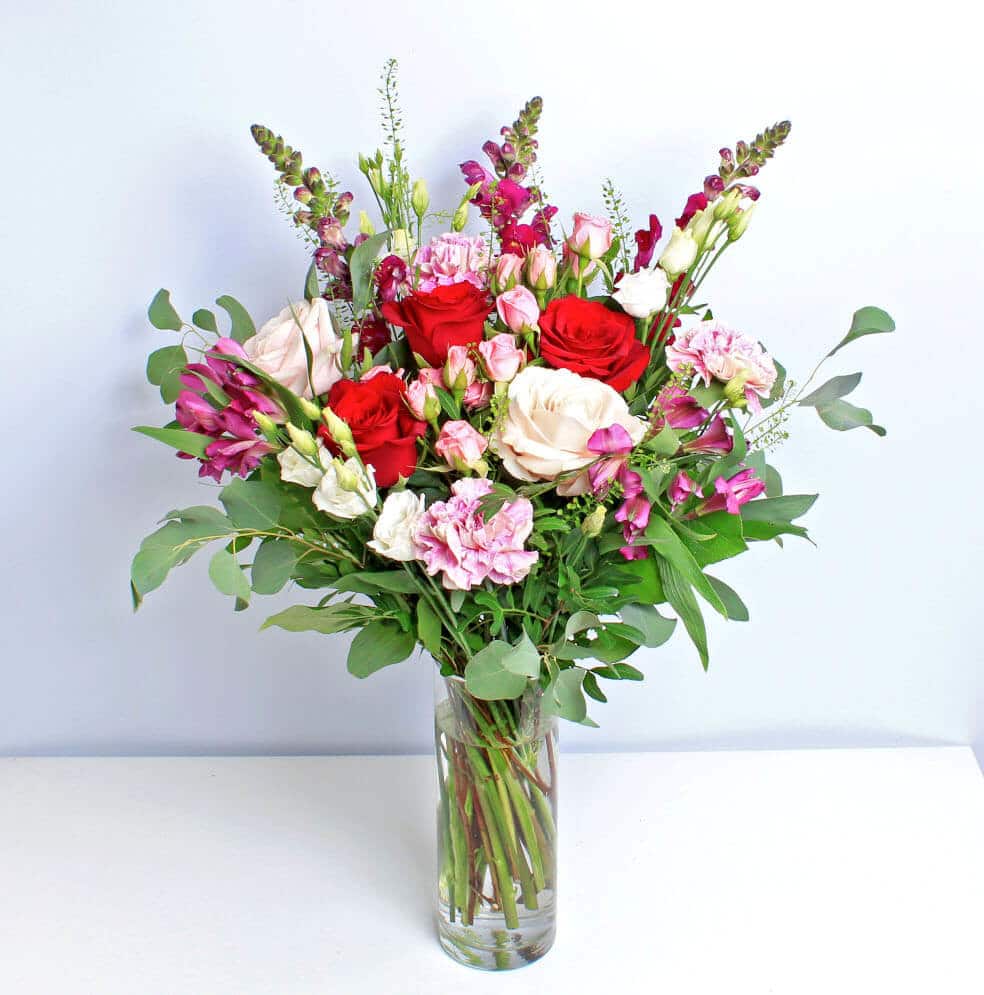 Raspberry Red - Image 4