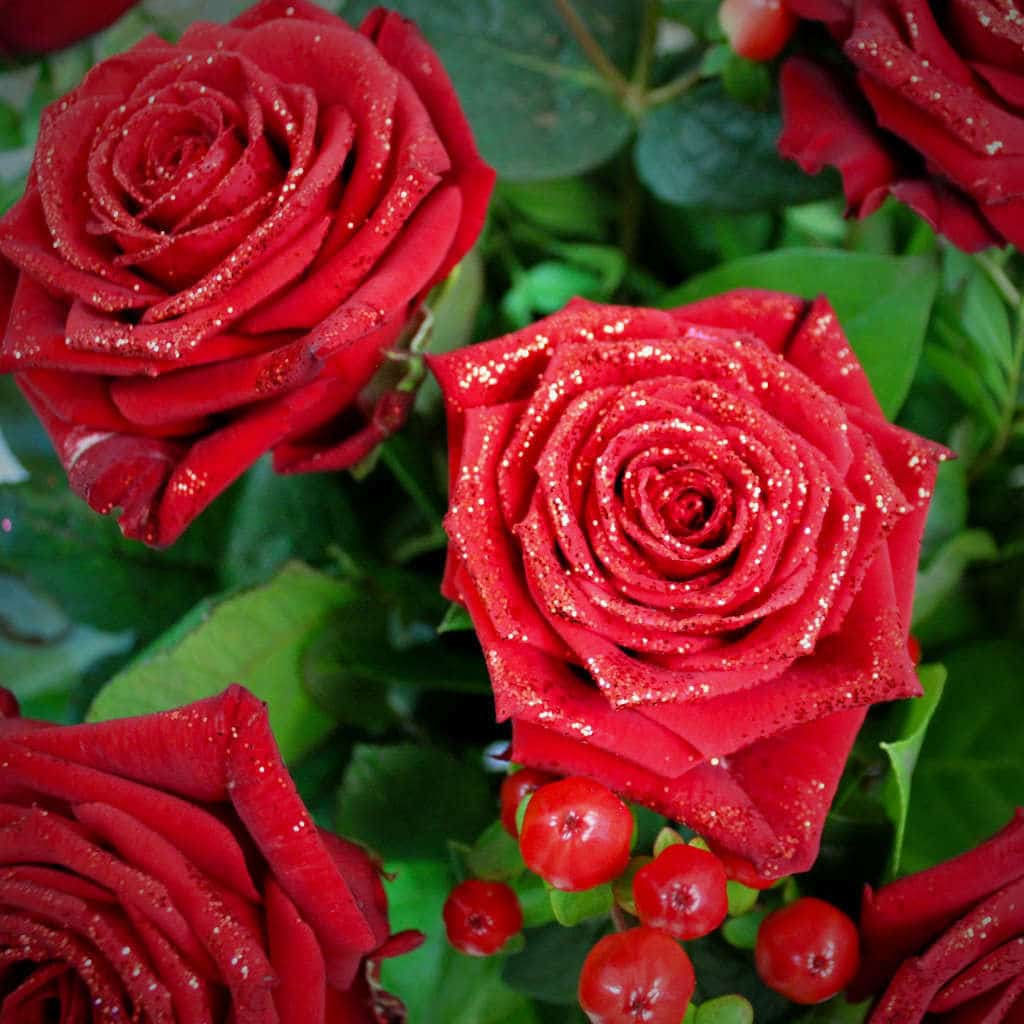 Red Rose Sparkler - Image 2