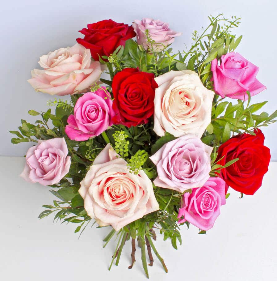 Rose Medley - Image 2