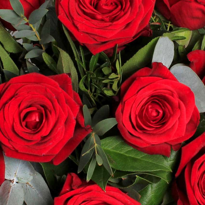 Allure Hat Box - Image 3