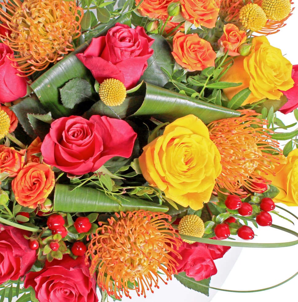 Luxury Tropics - Image 2