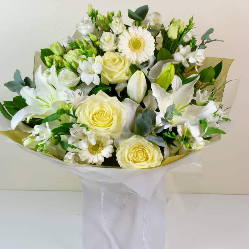 White Star - Image 2