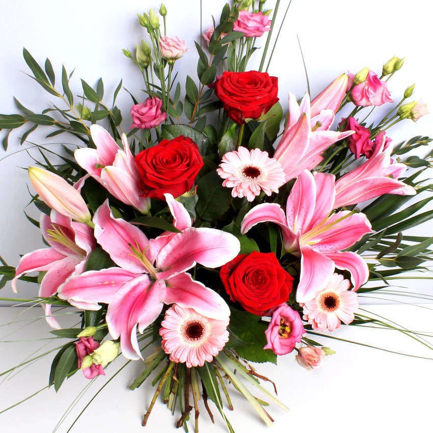 Wild About You - Image 2