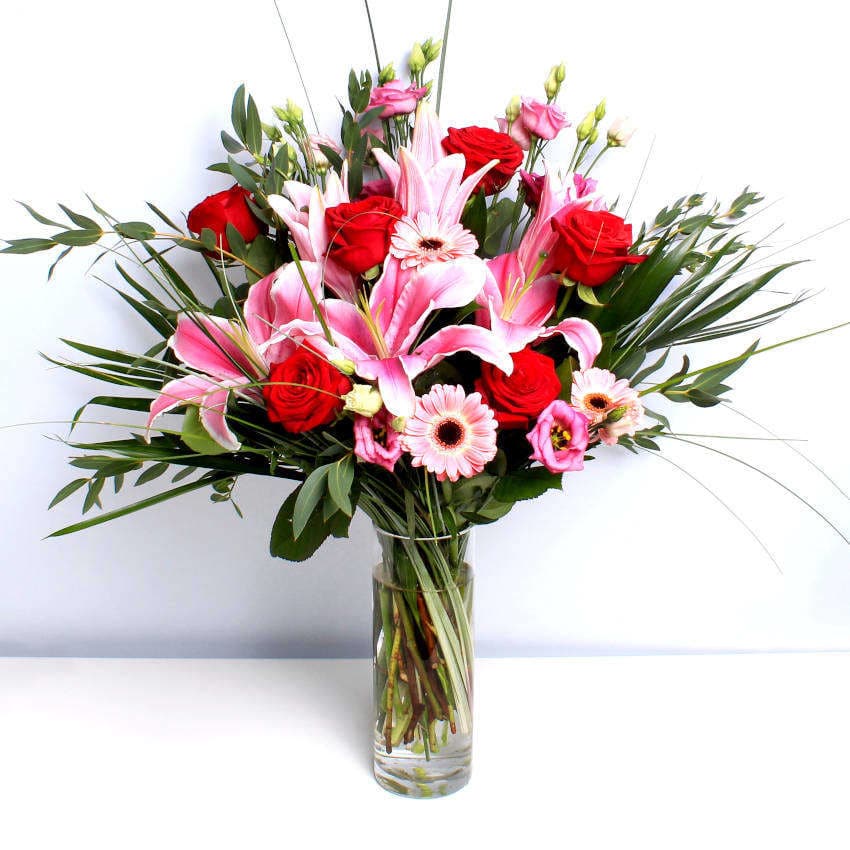 Wild About You - Image 4