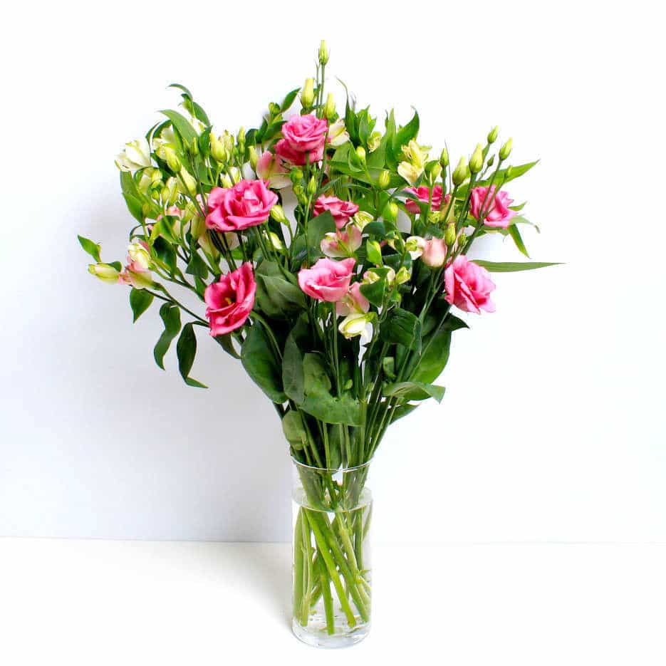 Elegant Alstro - Image 4