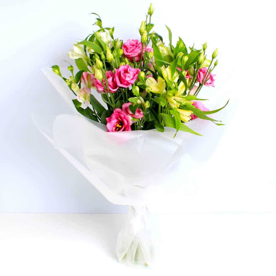 Elegant Alstro - Image 3