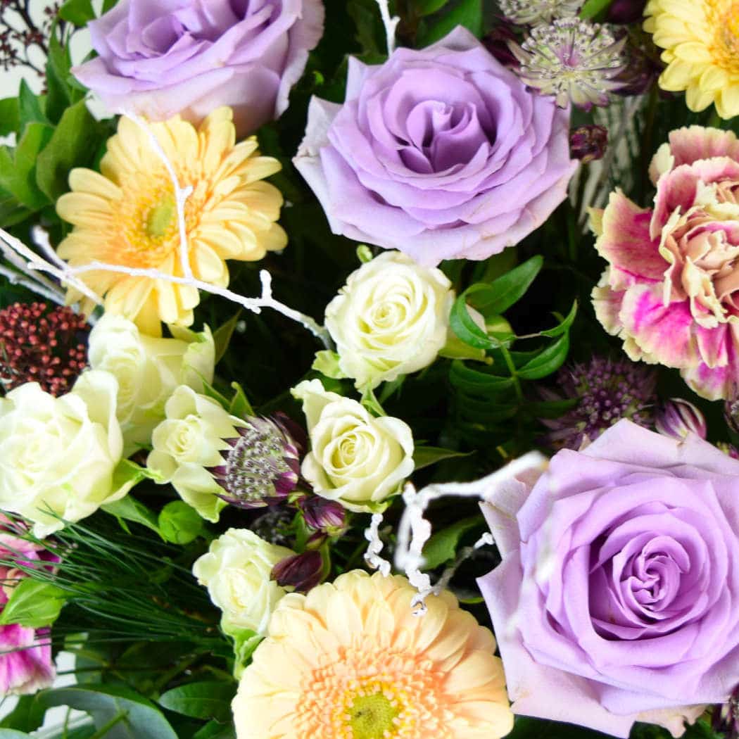 Pastel Forest - Image 2