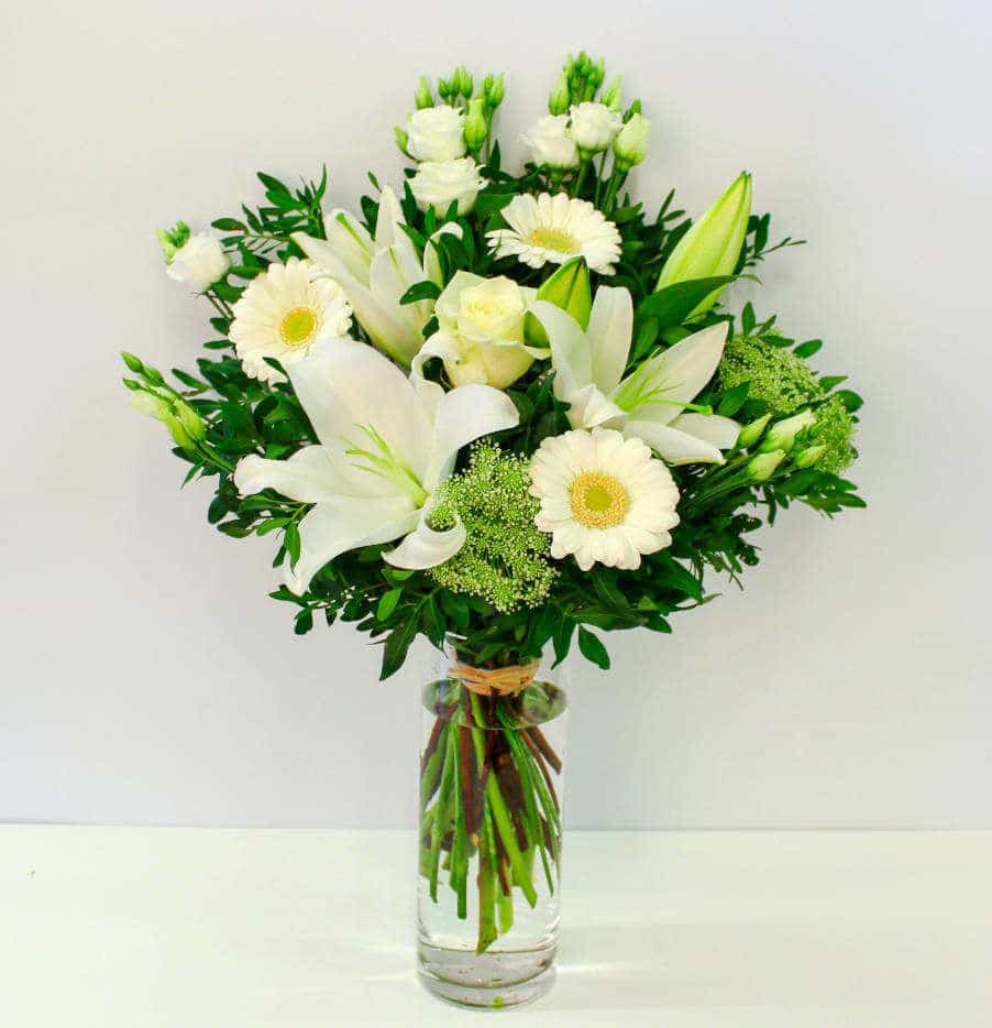 Pearly White - Image 3