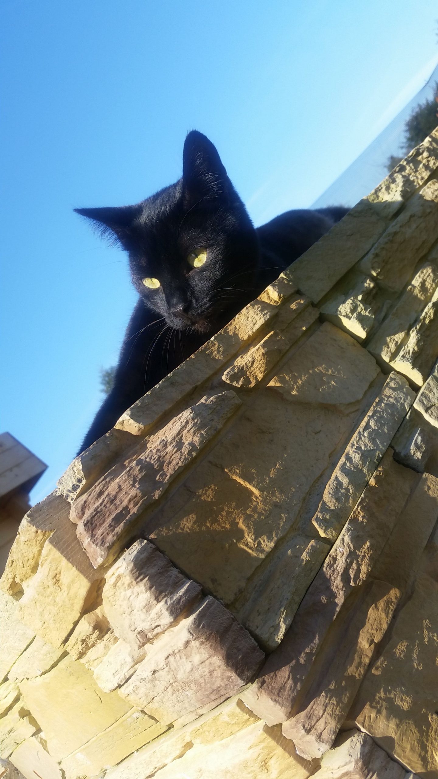 Mothers Day Lucky Dip